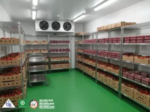 Kesegaran Produk Makanan dan Minuman: Penting nya Cold Storage dalam Distribusi Modern